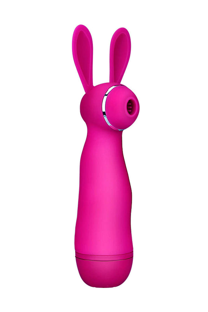 Long Handle Rechageable Rabbit Clit Vibrator Rose Red