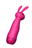Long Handle Rechageable Rabbit Clit Vibrator Rose Red