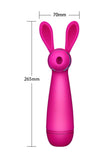 Long Handle Rechageable Rabbit Clit Vibrator Rose Red