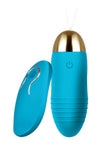 Remote Control Bullet Vibrator Love Egg