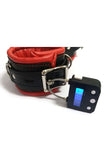 Rechargeable Electronic Timer Lock