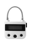 Rechargeable Electronic Timer Lock