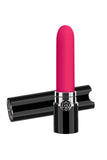 Lipstick Shaped Quieter Clit and Nipple Vibrator