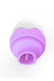 BangNeng Rechargeable Clitoral Sucktion Vibrator Sex Massager