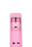 Pink Leather Collar with Nipple Clamps Set