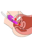 DIBE Rechargeable Rotating G-Spot Rabbit Vibrator Purple Rose Red