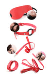 Bed Restraint Kit 10 Pieces Set