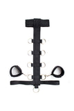 Neck-to-waist Body Harness Restraint with Removable Waist Belt