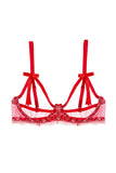 Fee et moi 1/4 Cup Bra and Crotchless Thong Set