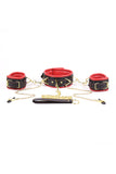 Leather Collar with Nipple Clamps Set