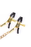 Leather Collar with Nipple Clamps Set