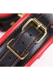 Leather Collar with Nipple Clamps Set