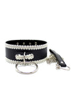 Leather Collar and Chain Leash Set
