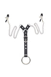 Nipple Clamps with Penis Ring Set