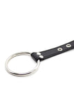 Nipple Clamps with Penis Ring Set