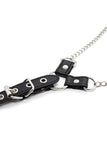 Nipple Clamps with Penis Ring Set