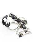 Nipple Clamps with Penis Ring Set
