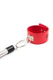 Spreader Bar with Leather Cuffs