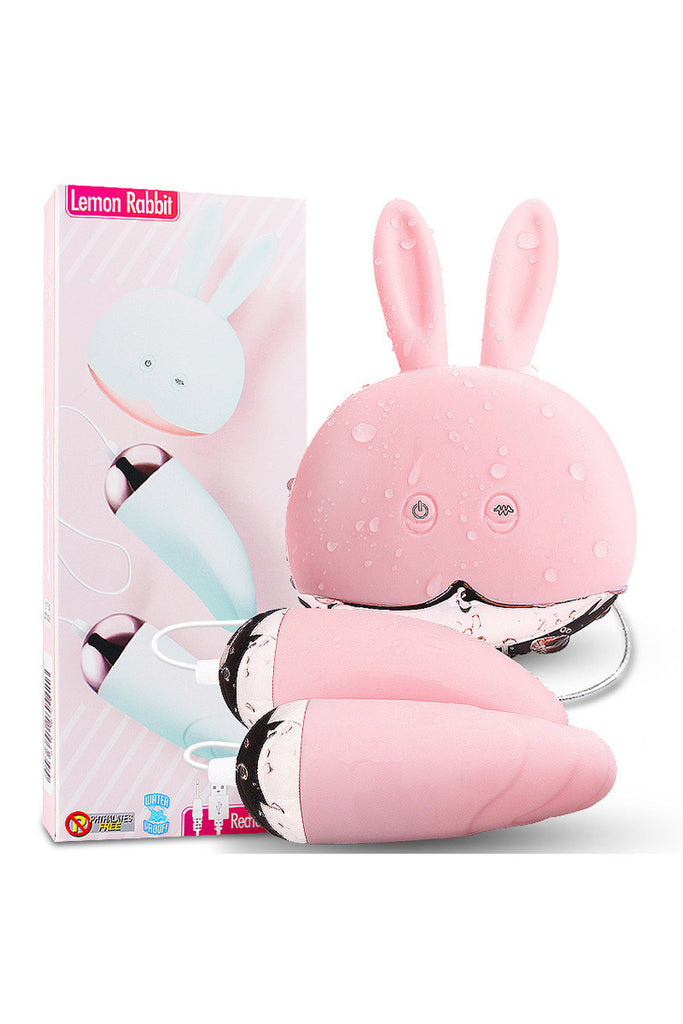 Double Bullet Vibrator Love Egg with Rabbit Shaped Wired Remote Controller