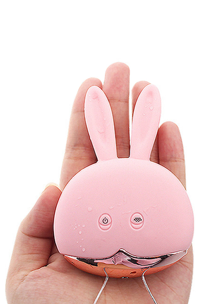 Double Bullet Vibrator Love Egg with Rabbit Shaped Wired Remote Controller