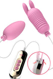 Love Egg Vibrator Set