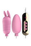 Love Egg Vibrator Set